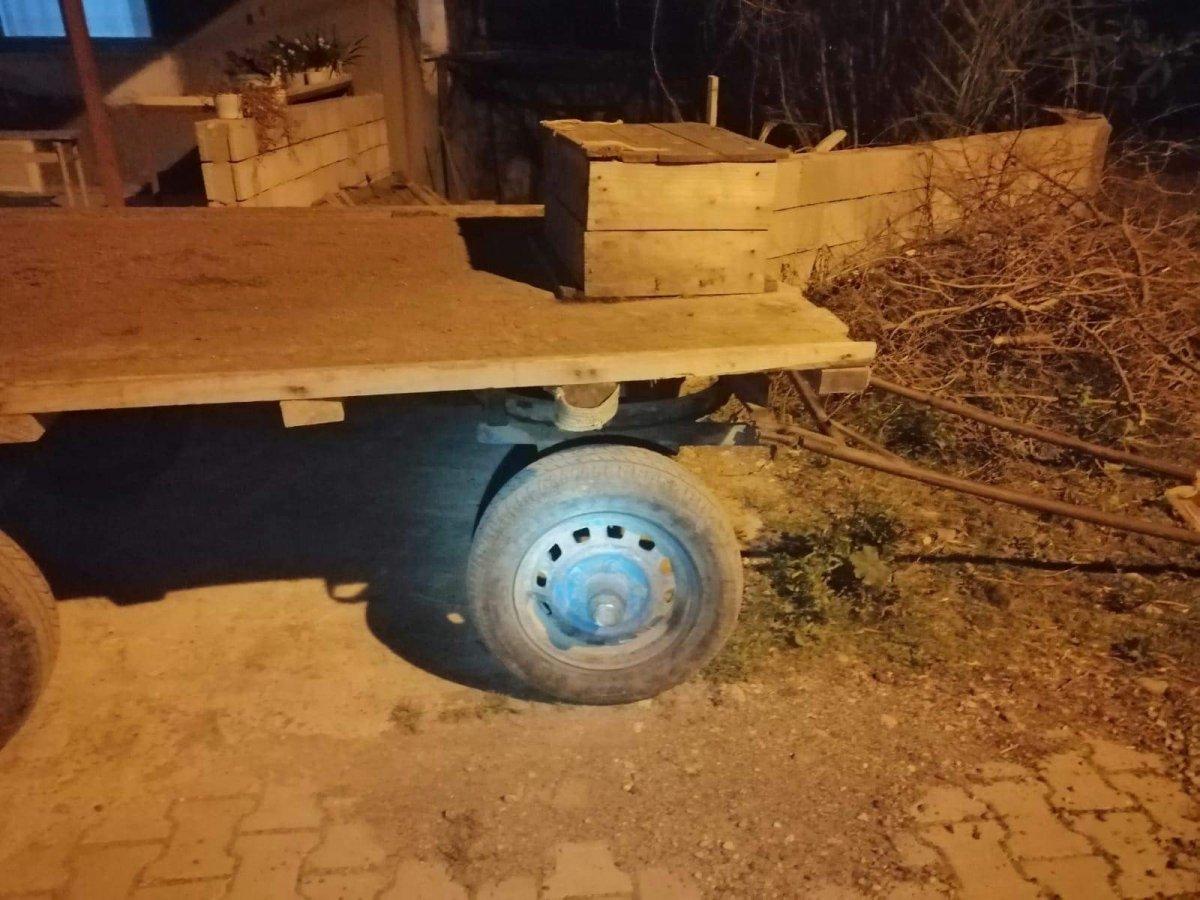 Hatay'da ata keserli işkence