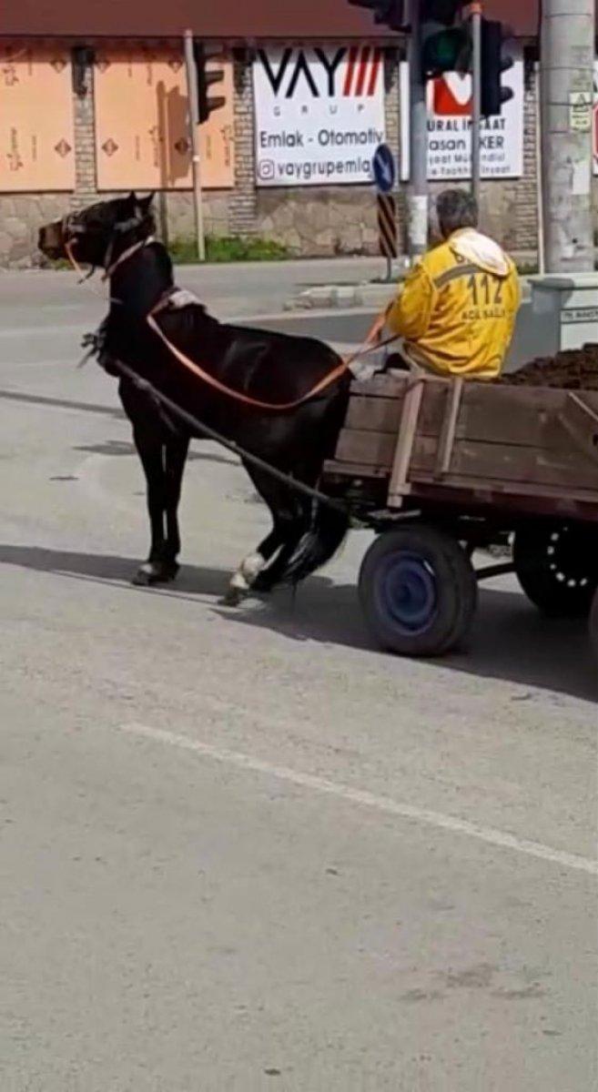 Hatay'da ata keserli işkence