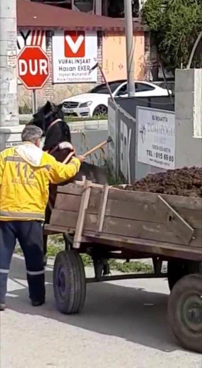 Hatay'da ata keserli işkence