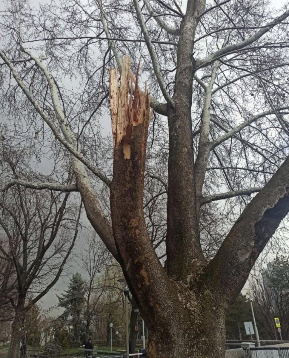 Bekir Pakdemirli’den TBMM bahçesine düşen yıldırıma ilişkin açıklama