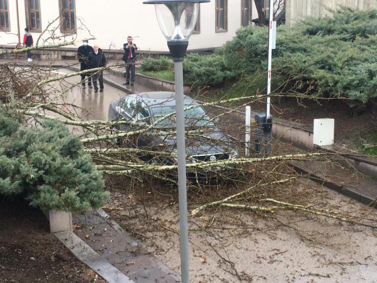 TBMM bahçesine yıldırım düştü