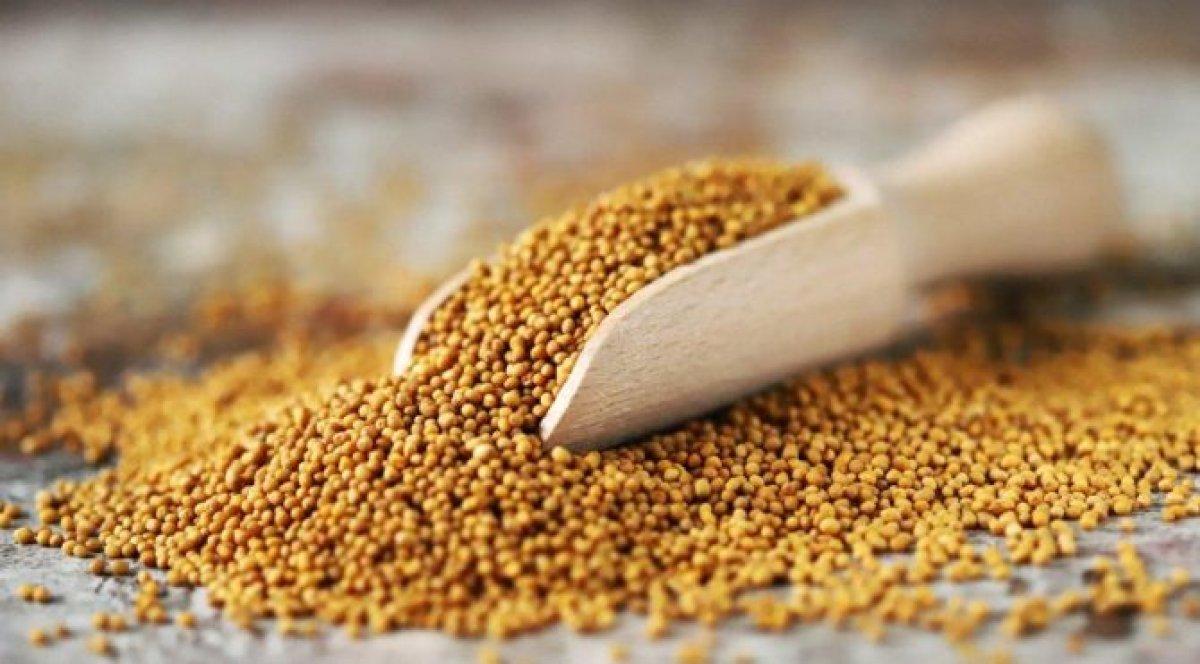 Hardal tohumu nedir, faydaları nelerdir? Hardal tohumu nasıl tüketilir?