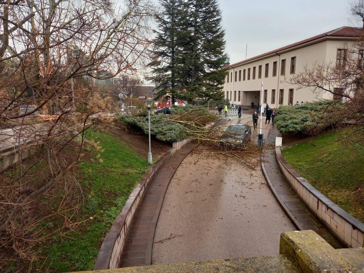 TBMM bahçesine yıldırım düştü