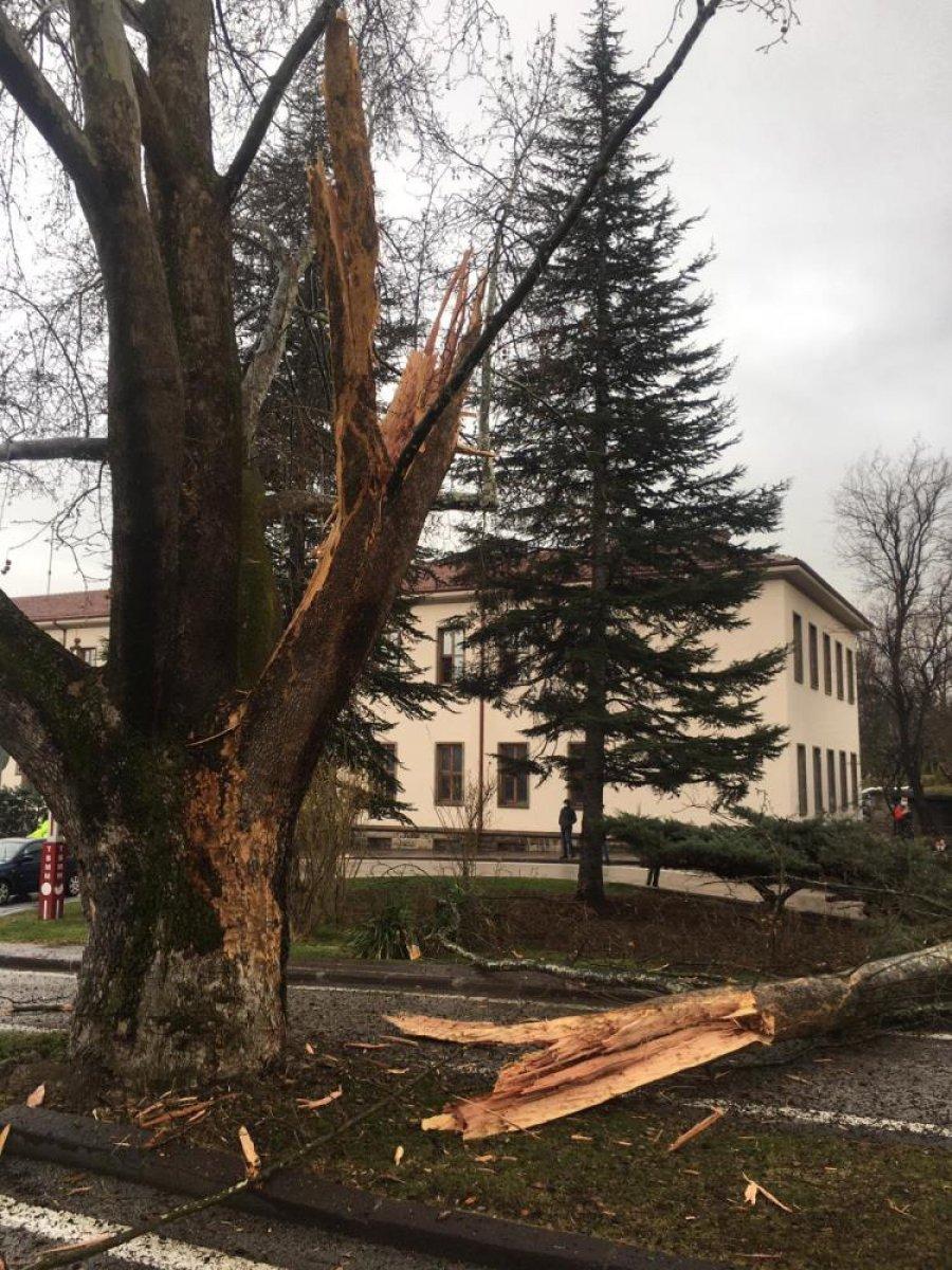 TBMM bahçesine yıldırım düştü