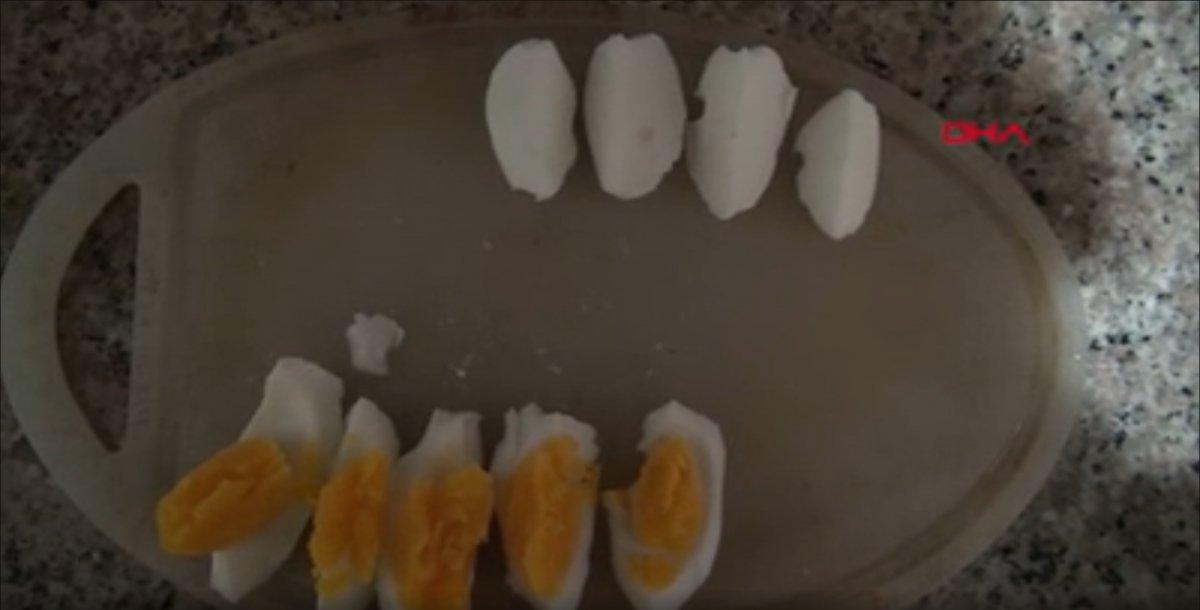 Sivas’ta sarısı olmayan yumurta şaşırttı