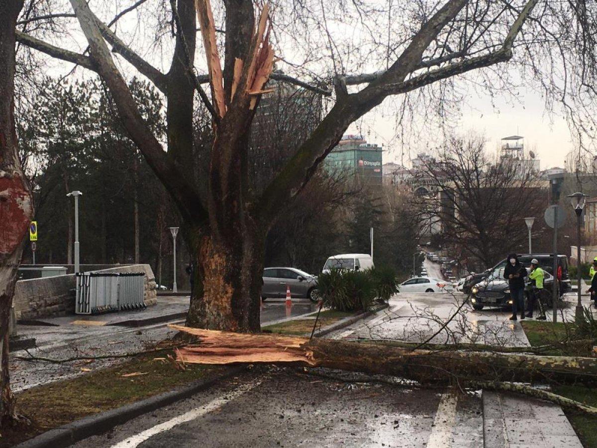 TBMM bahçesine yıldırım düştü