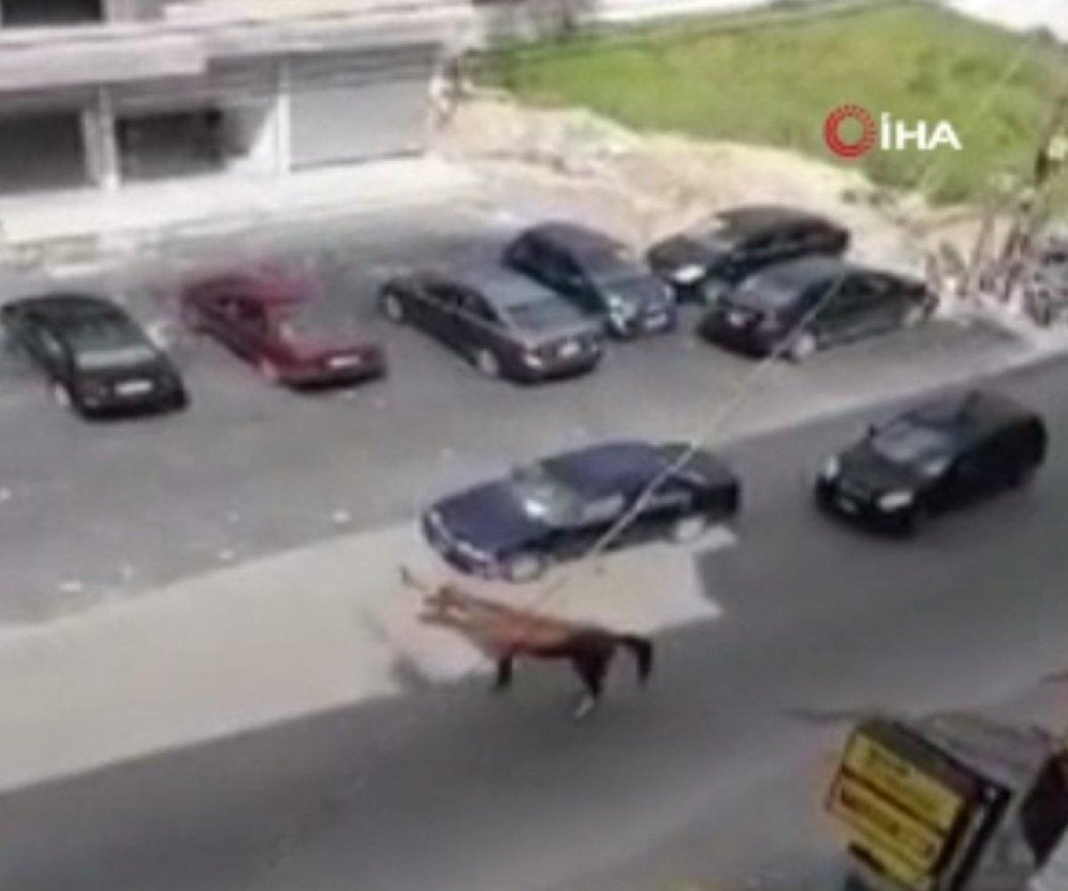 Lübnan'da sahipsiz at hızını alamadı, otomobile çarptı