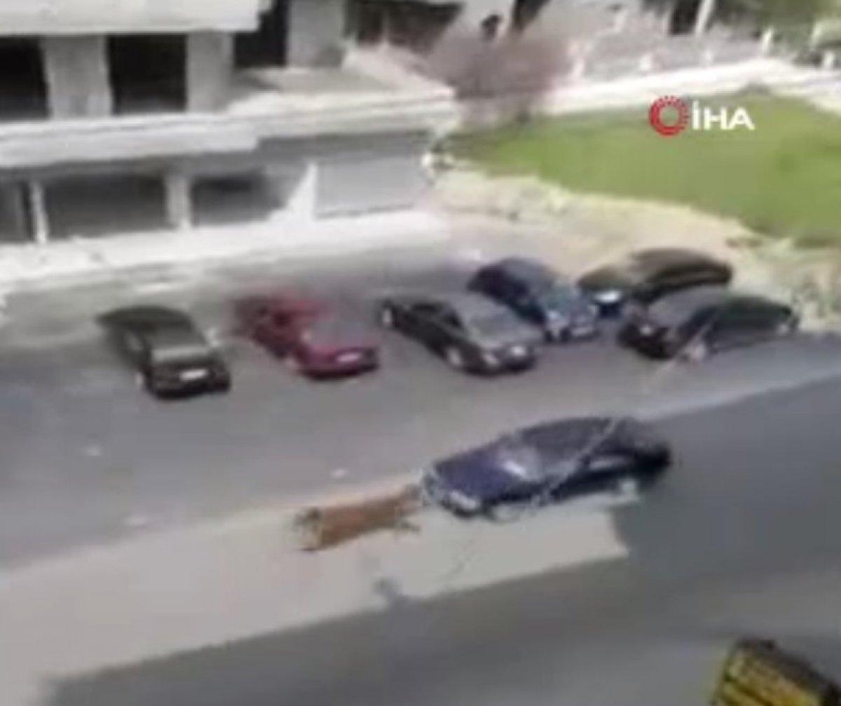 Lübnan'da sahipsiz at hızını alamadı, otomobile çarptı