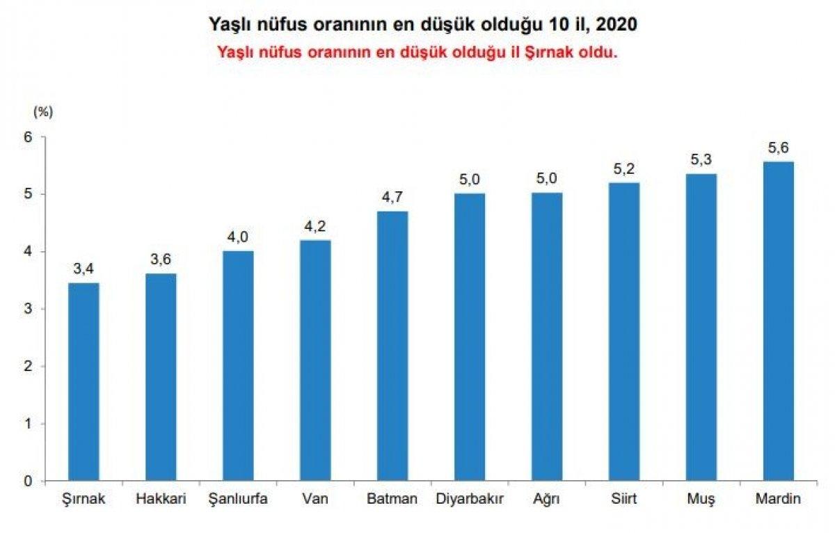 Türkiye’de yaşlı nüfus 10 yılda yüzde 49,3 arttı