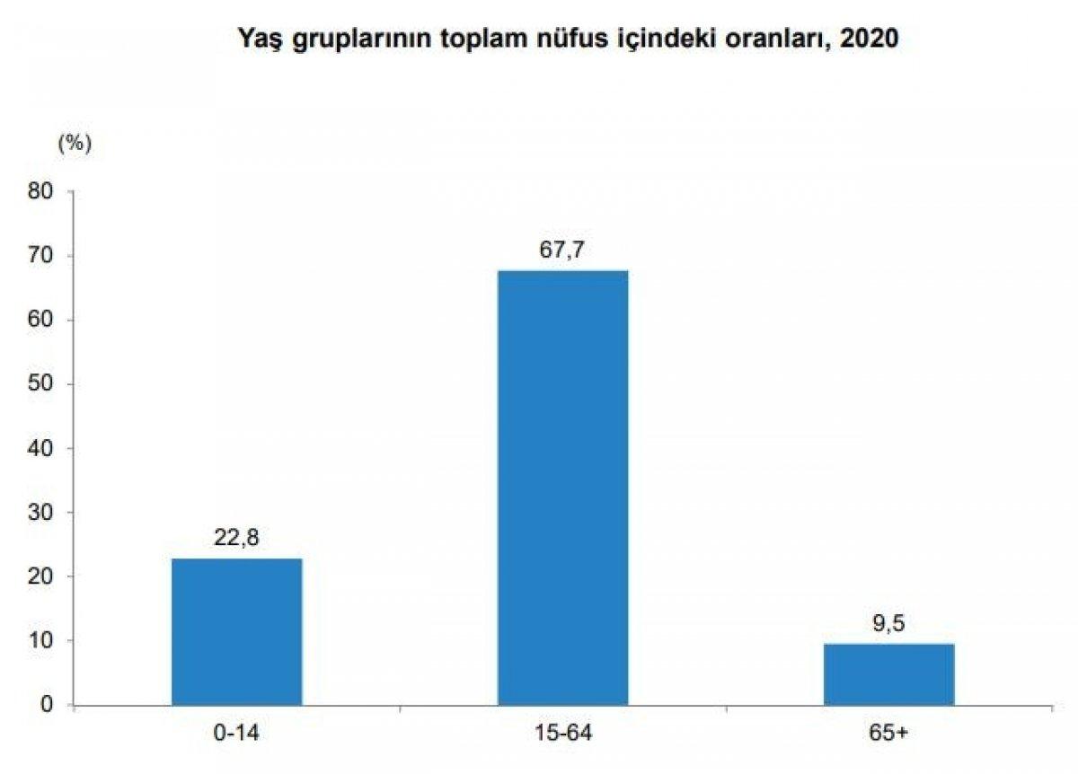 Türkiye’de yaşlı nüfus 10 yılda yüzde 49,3 arttı