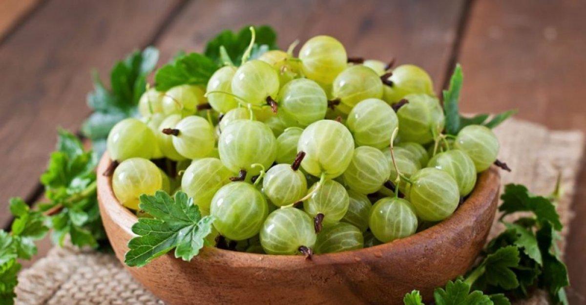 Amla yağı nedir, faydaları nelerdir? Amla yağı nasıl kullanılır?