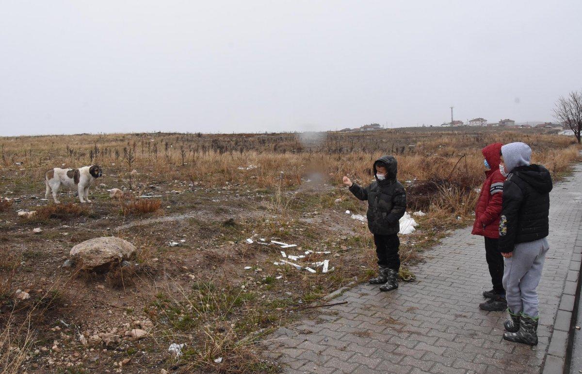 Kütahya’da köpeklerle oynayan 3 çocuğa tırmıkla saldıran hemşire tutuklandı