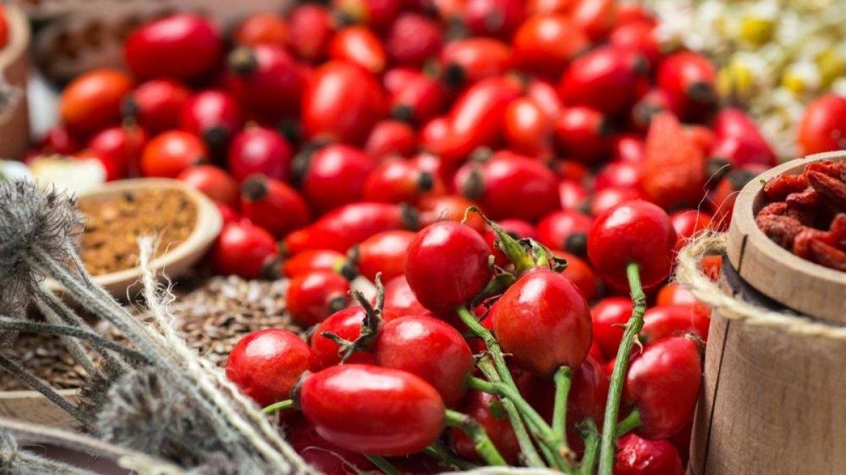 Kuşburnunun sağlığa faydaları