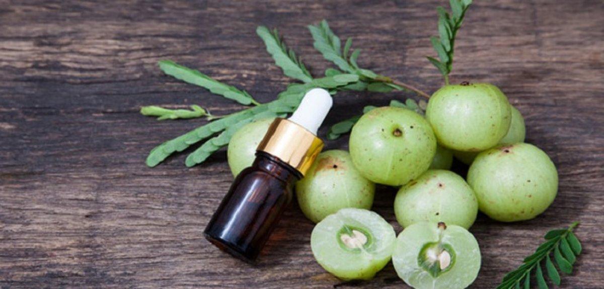 Amla yağı nedir, faydaları nelerdir? Amla yağı nasıl kullanılır?