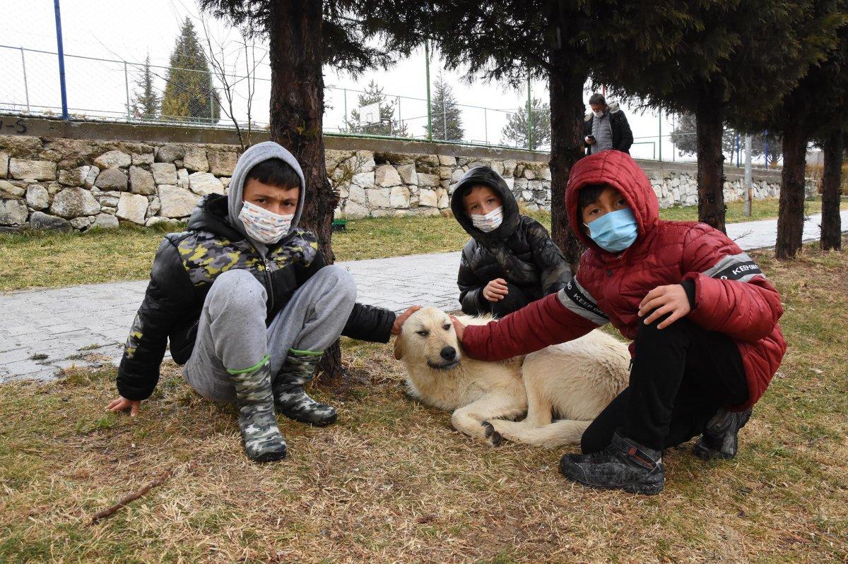 Kütahya’da köpeklerle oynayan 3 çocuğa tırmıkla saldıran hemşire tutuklandı