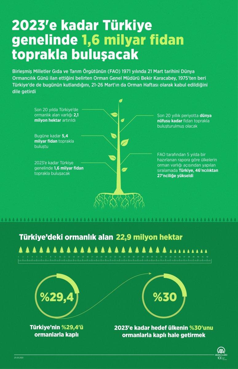 Türkiye’de 2023 yılına kadar 1,6 milyar fidan toprakla buluşacak