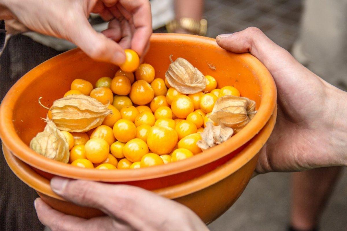 Altın çileğin faydaları nelerdir? Altın çilek nasıl, ne kadar yenmeli?
