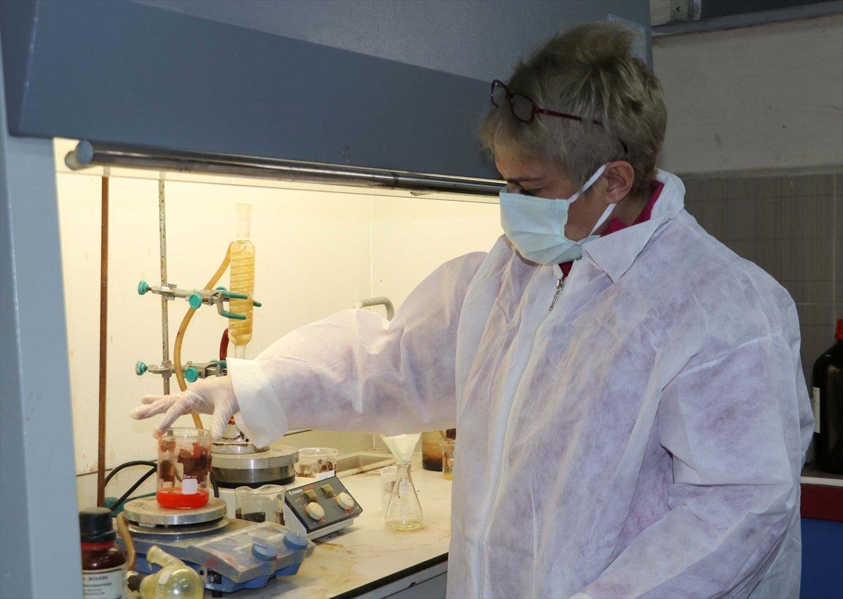 Zonguldak BEÜ'de, koronaya karşı etken madde geliştirildi