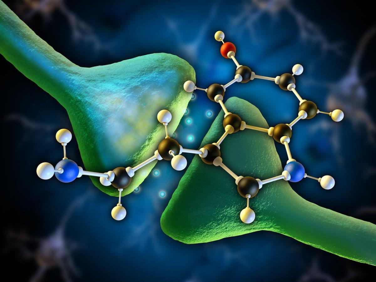 Serotonin sendromu nedir? Serotonin sendromu nasıl anlaşılır, belirtileri nelerdir?