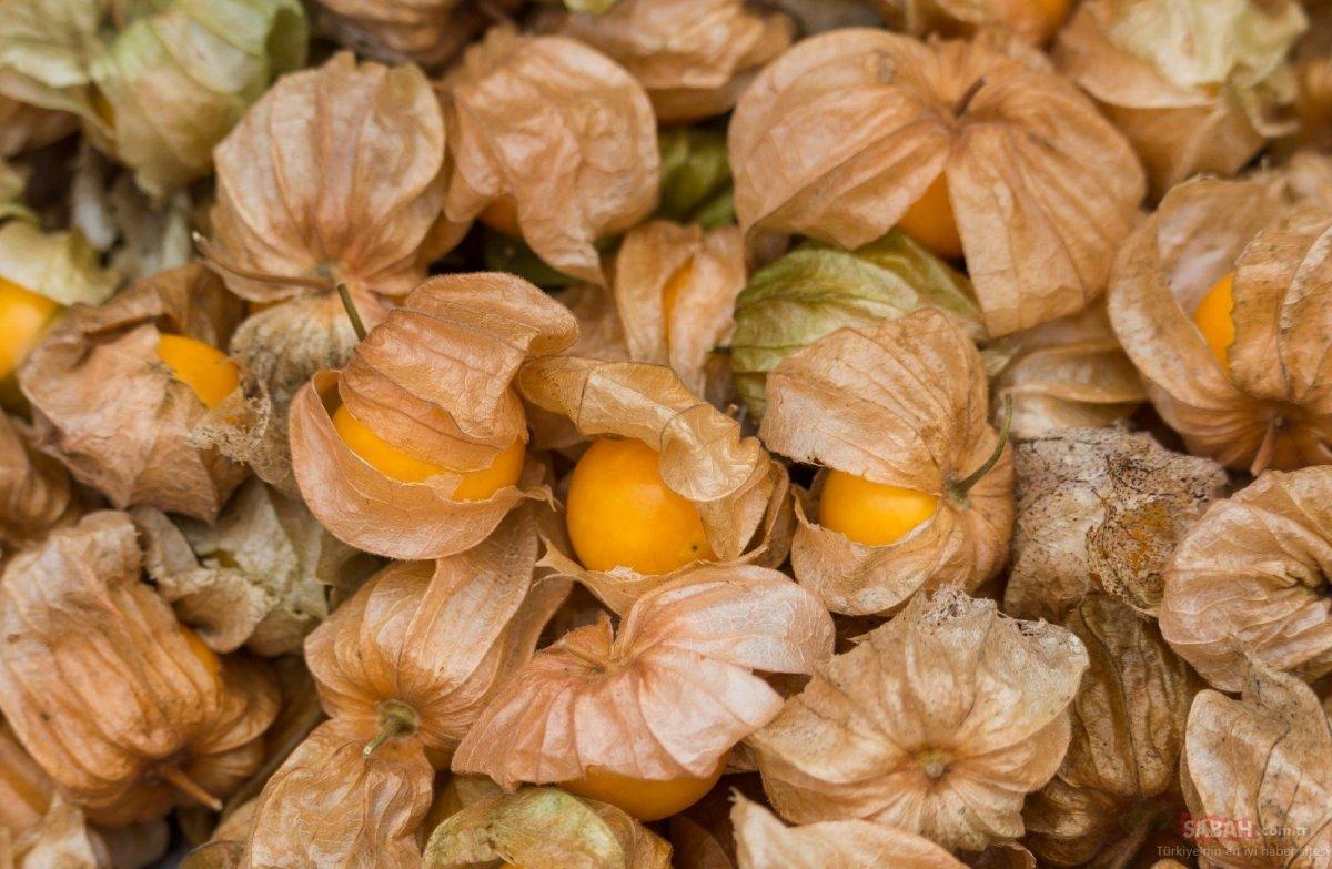 Altın çileğin faydaları nelerdir? Altın çilek nasıl, ne kadar yenmeli?