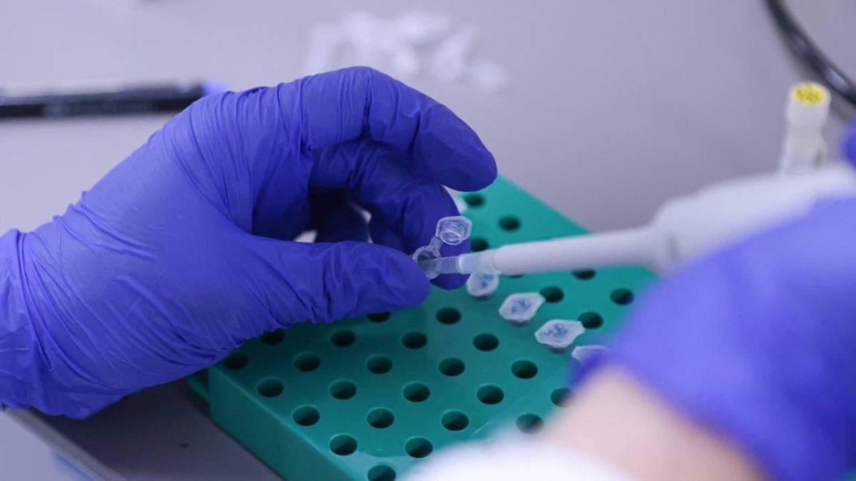 VLP aşı ne demek? Yerli koronavirüs aşısı VLP nedir?