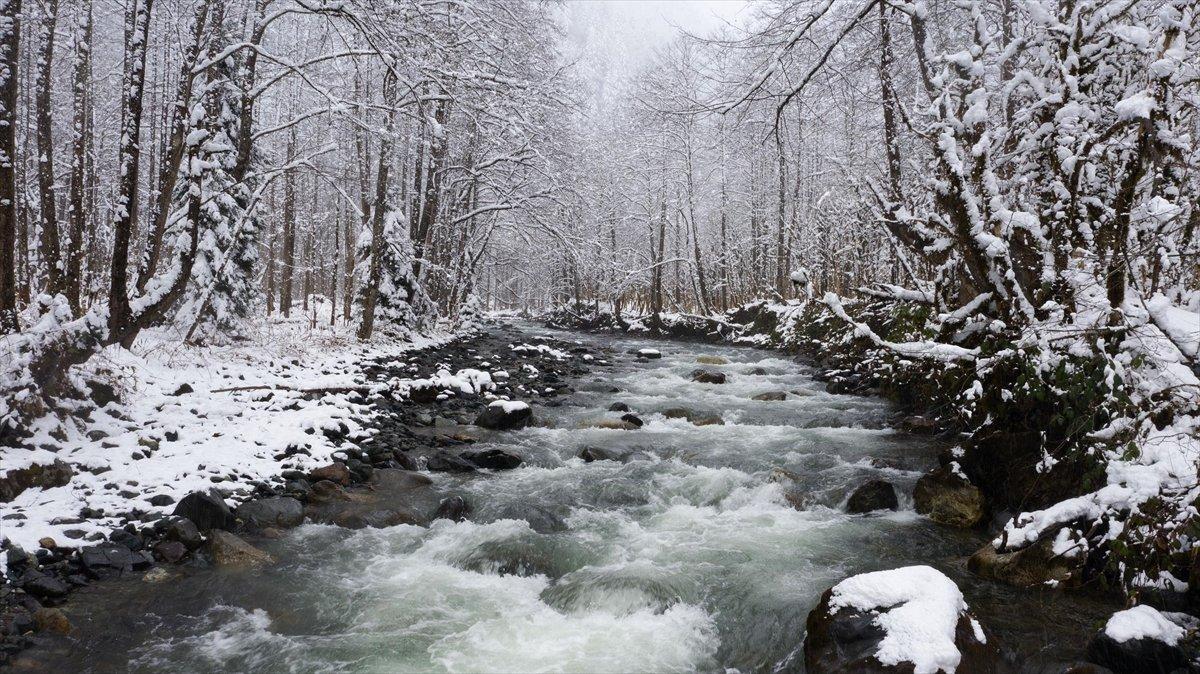 Rize'de kar yağışı etkili oldu