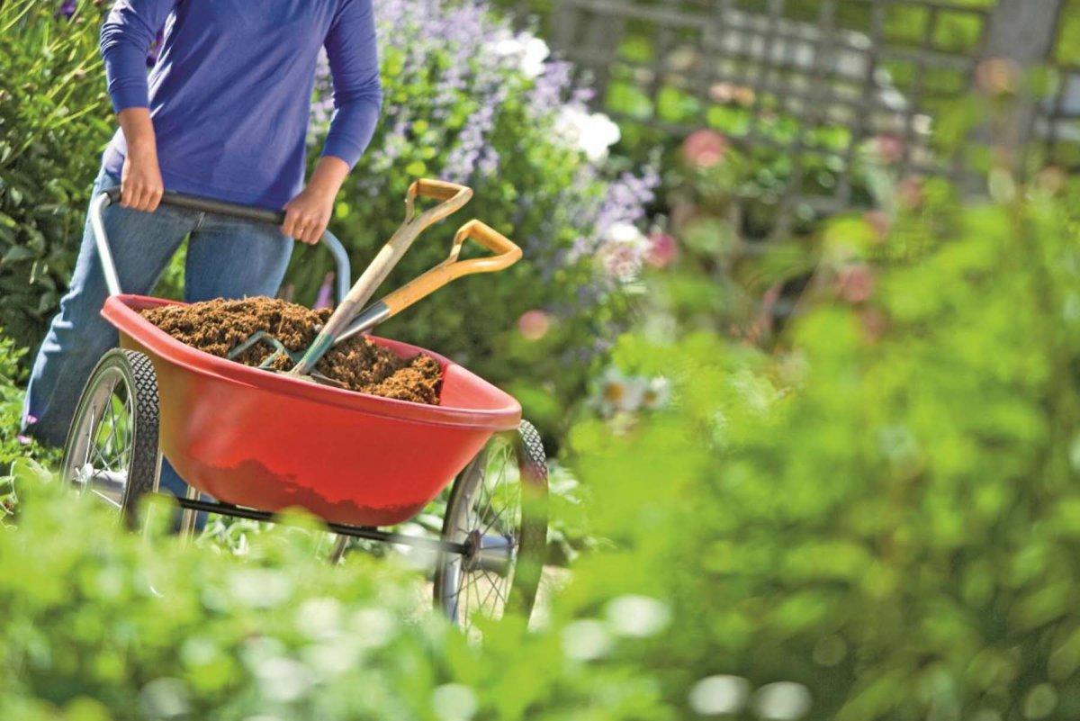 Evde sirke kullanmanın 101 yolu