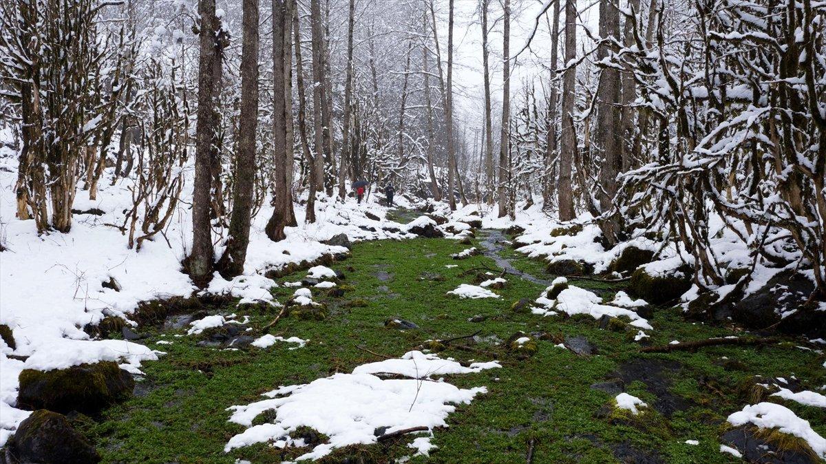 Rize'de kar yağışı etkili oldu