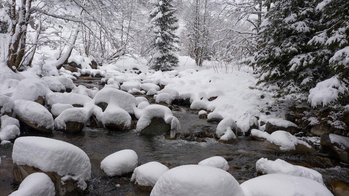 Rize'de kar yağışı etkili oldu