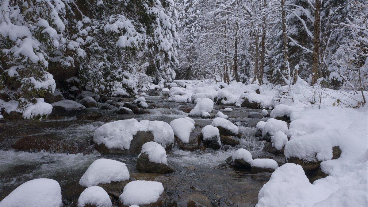 Rize'de kar yağışı etkili oldu