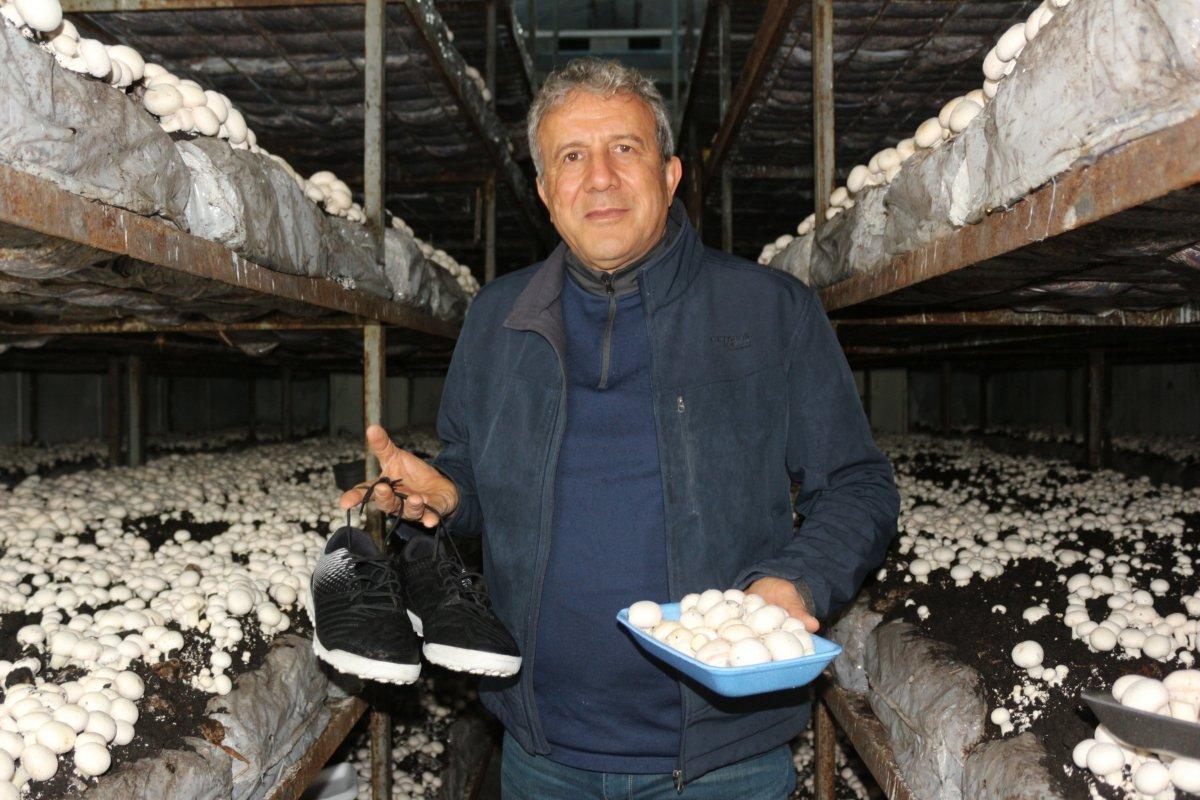 Kocaeli'de futbol kariyerini bırakıp dev mantar tesisi kurdu