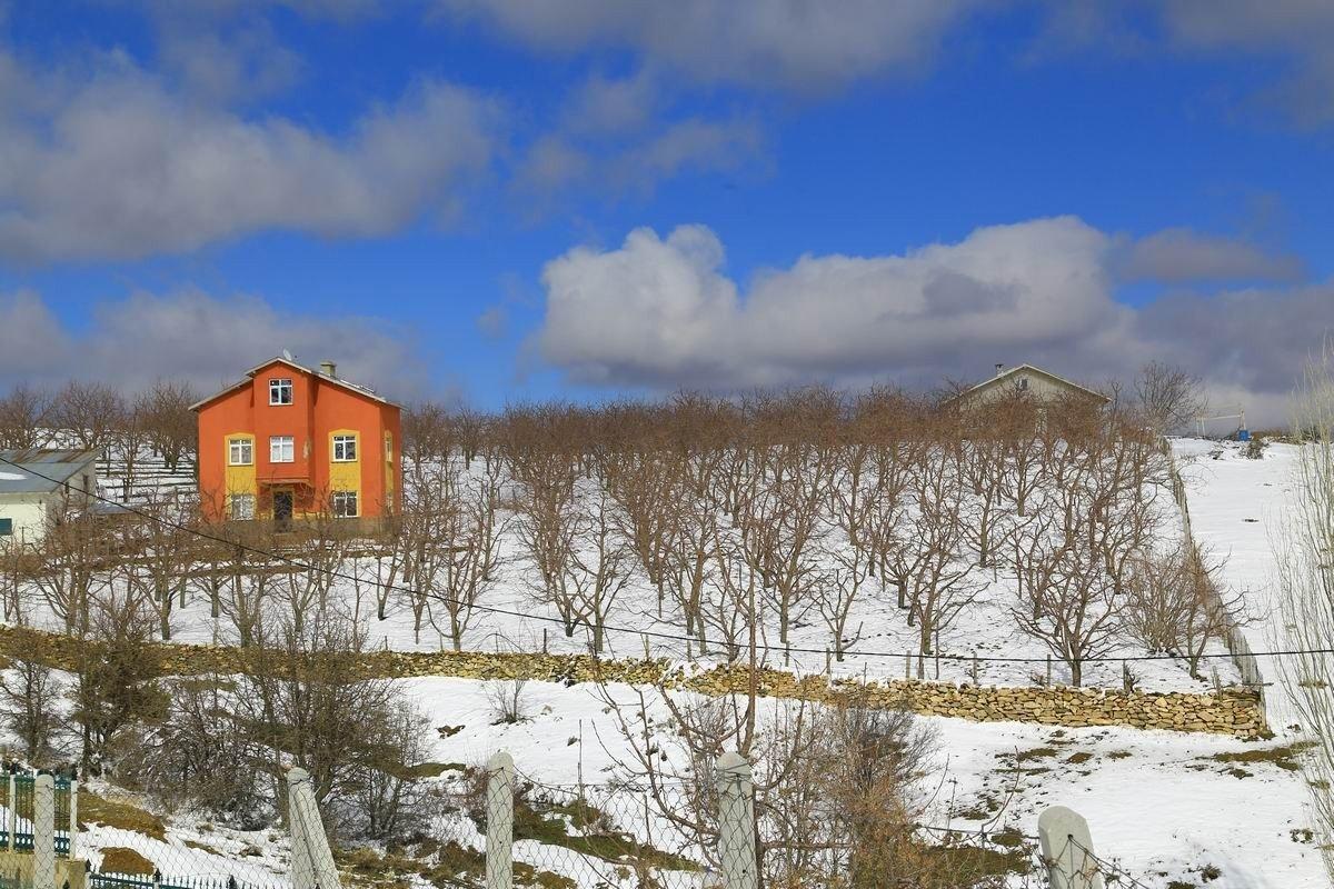 Kiraz üreticilerini yağan yağmur sevindirdi