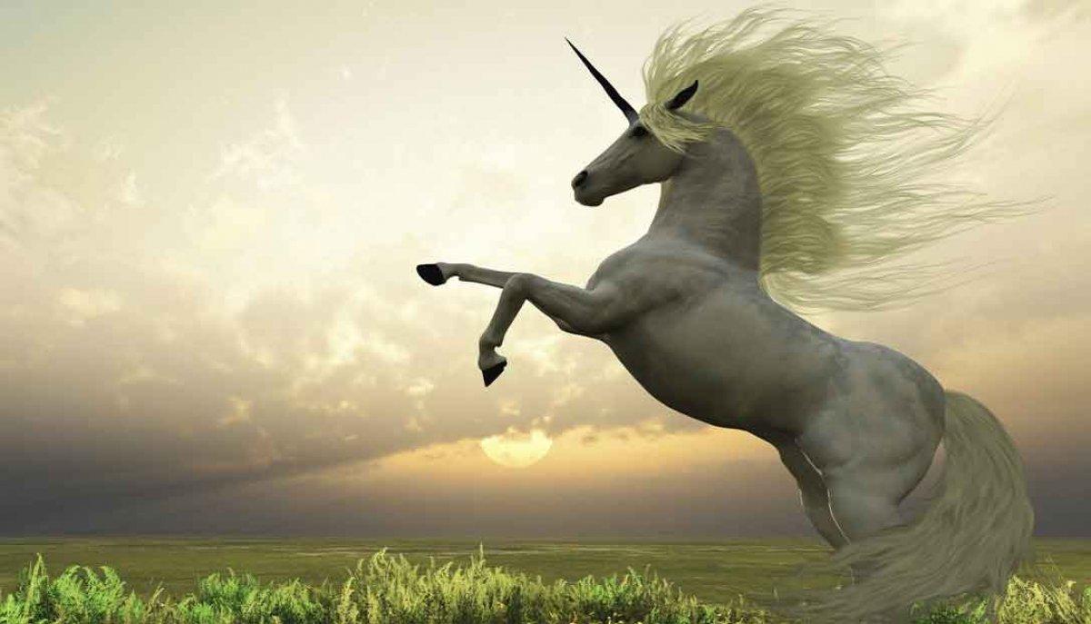 Unicorn nedir? Unicorn şirket ne demek, hangi şirketlere unicorn denir?