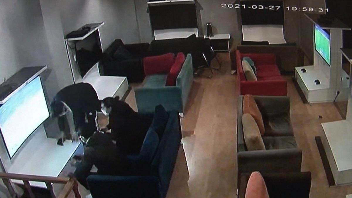 Sultanbeyli’de internet kafelerden hırsızlık