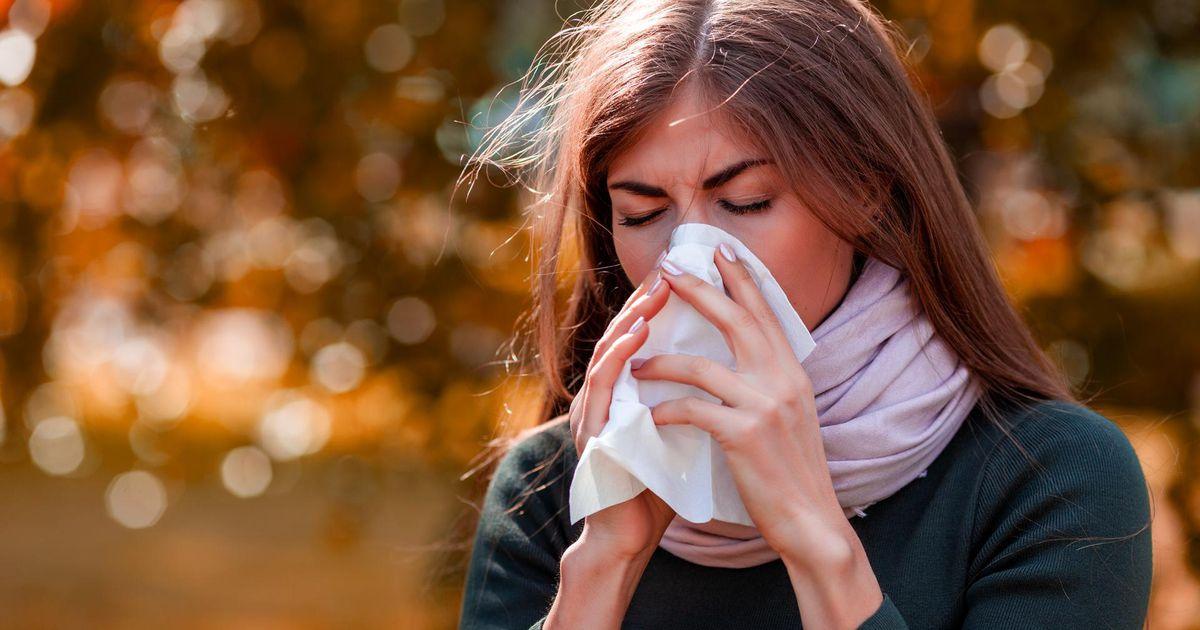 Polen mevsiminde Kovid-19 enfeksiyonunda artış görülebilir