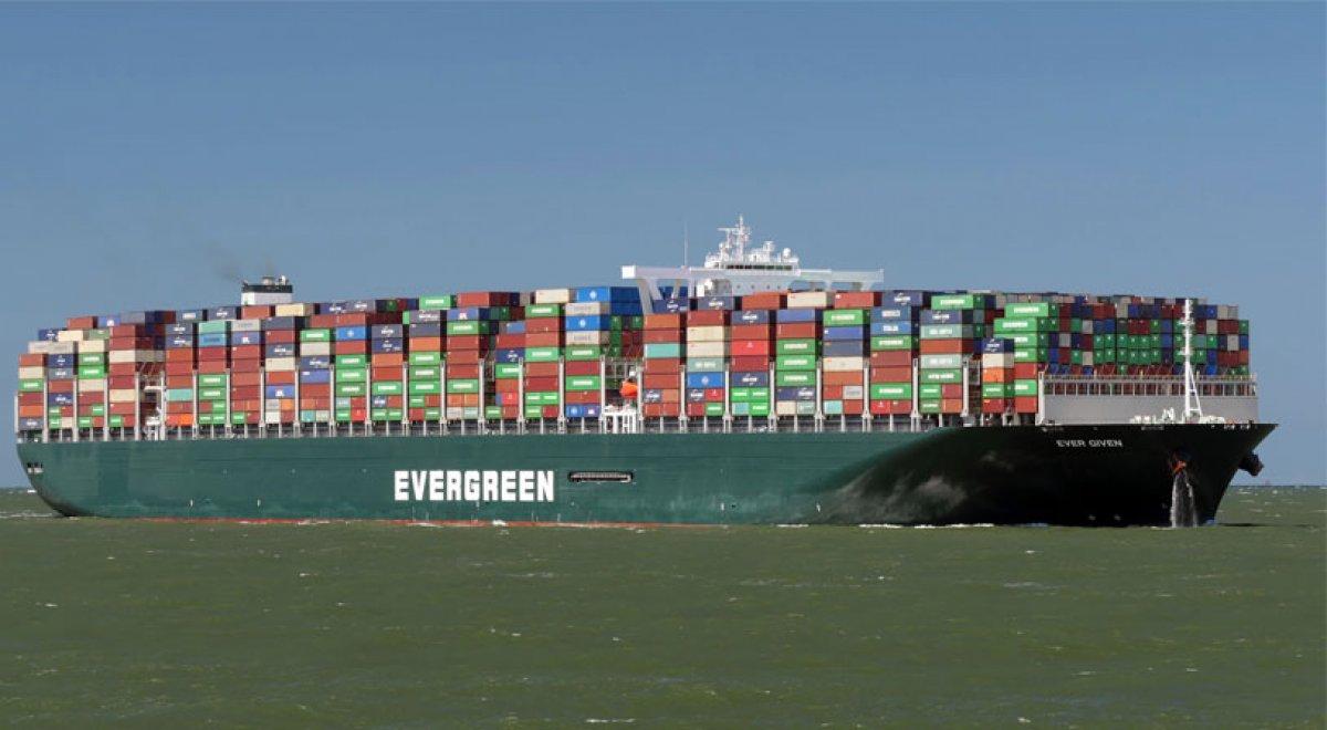 Evergreen ne demek? Evergreen Türkçe anlamı nedir?