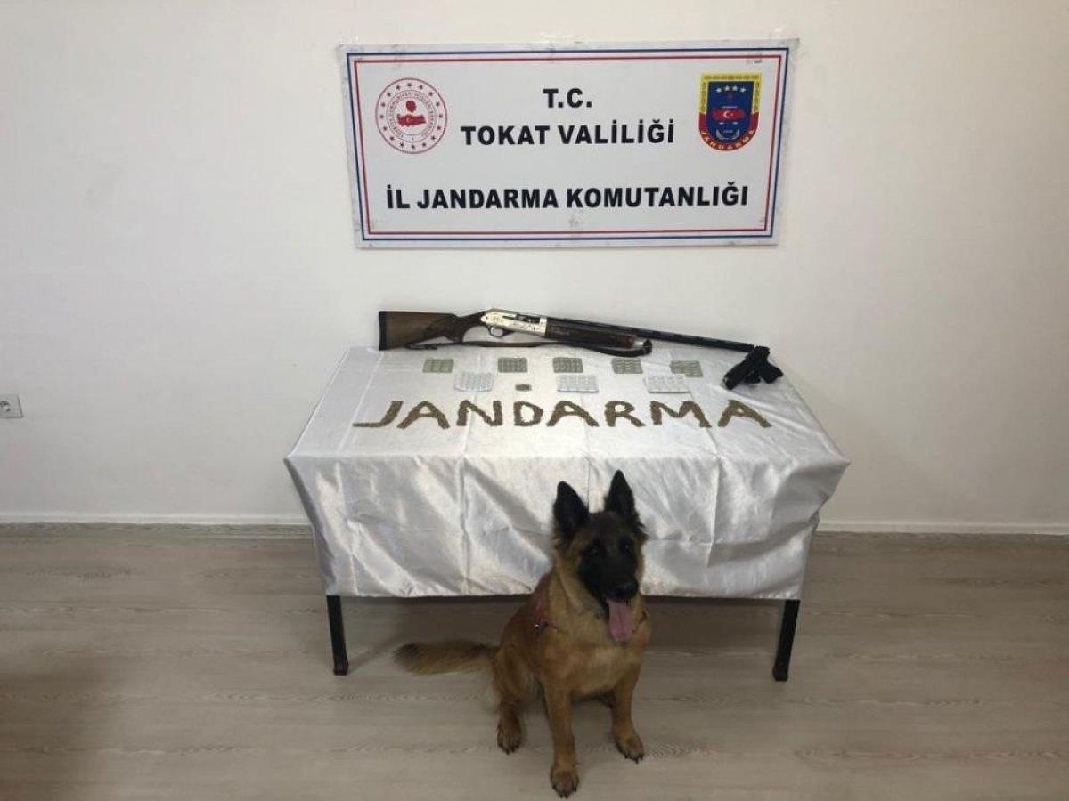 Tokat merkezli 3 ilde uyuşturucu operasyonu