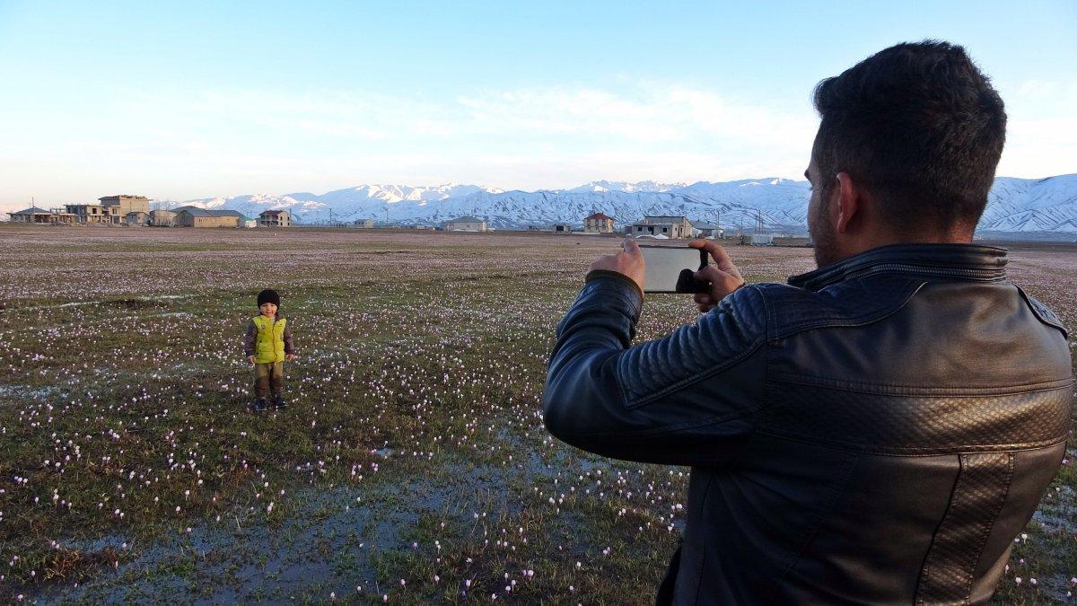 Yüksekova'daki kardelenler mest etti