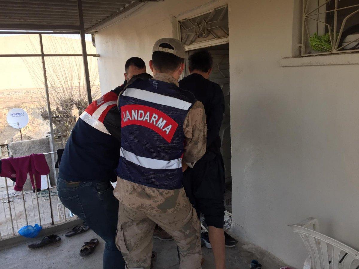 Şanlıurfa merkezli uyuşturucu operasyonu: 38 gözaltı