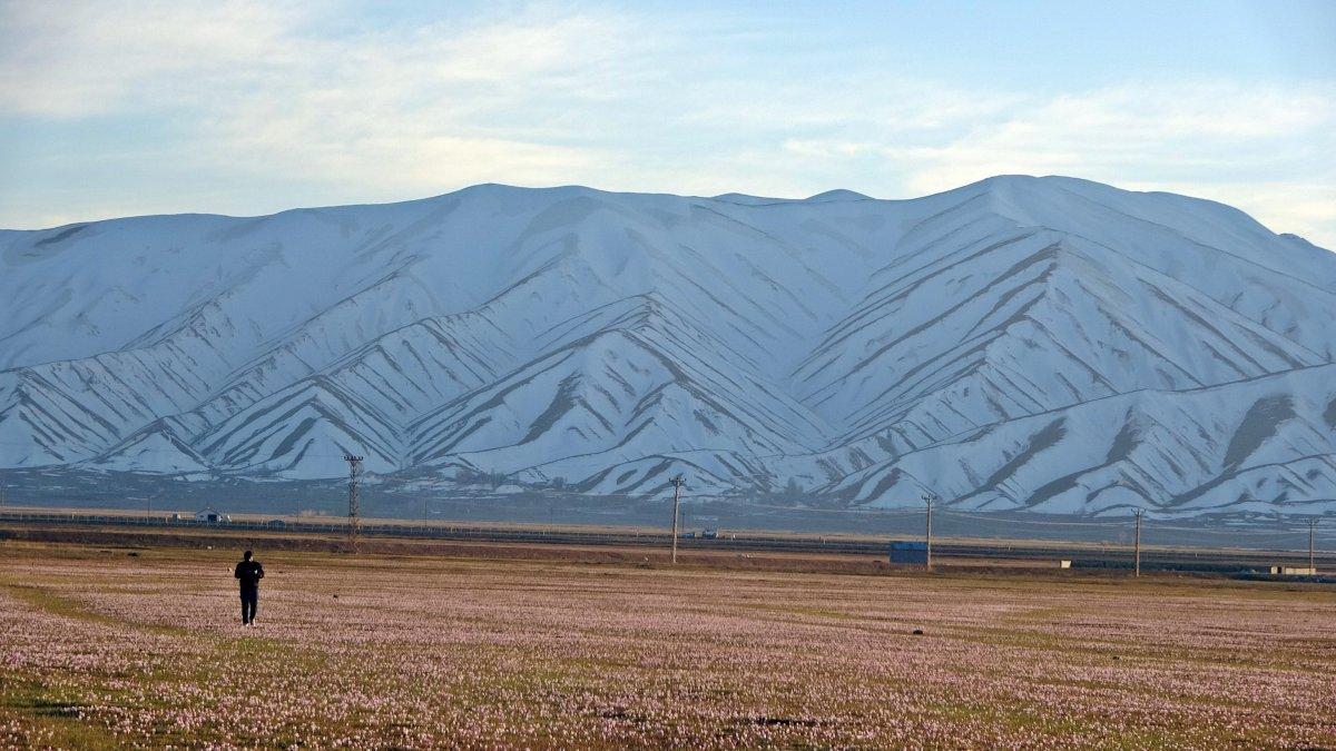 Yüksekova'daki kardelenler mest etti
