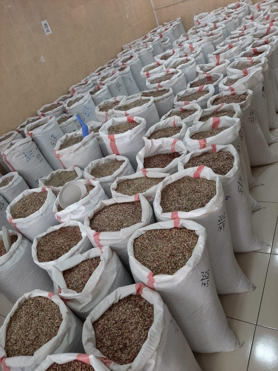 Antep fıstığı depolarda kaldı