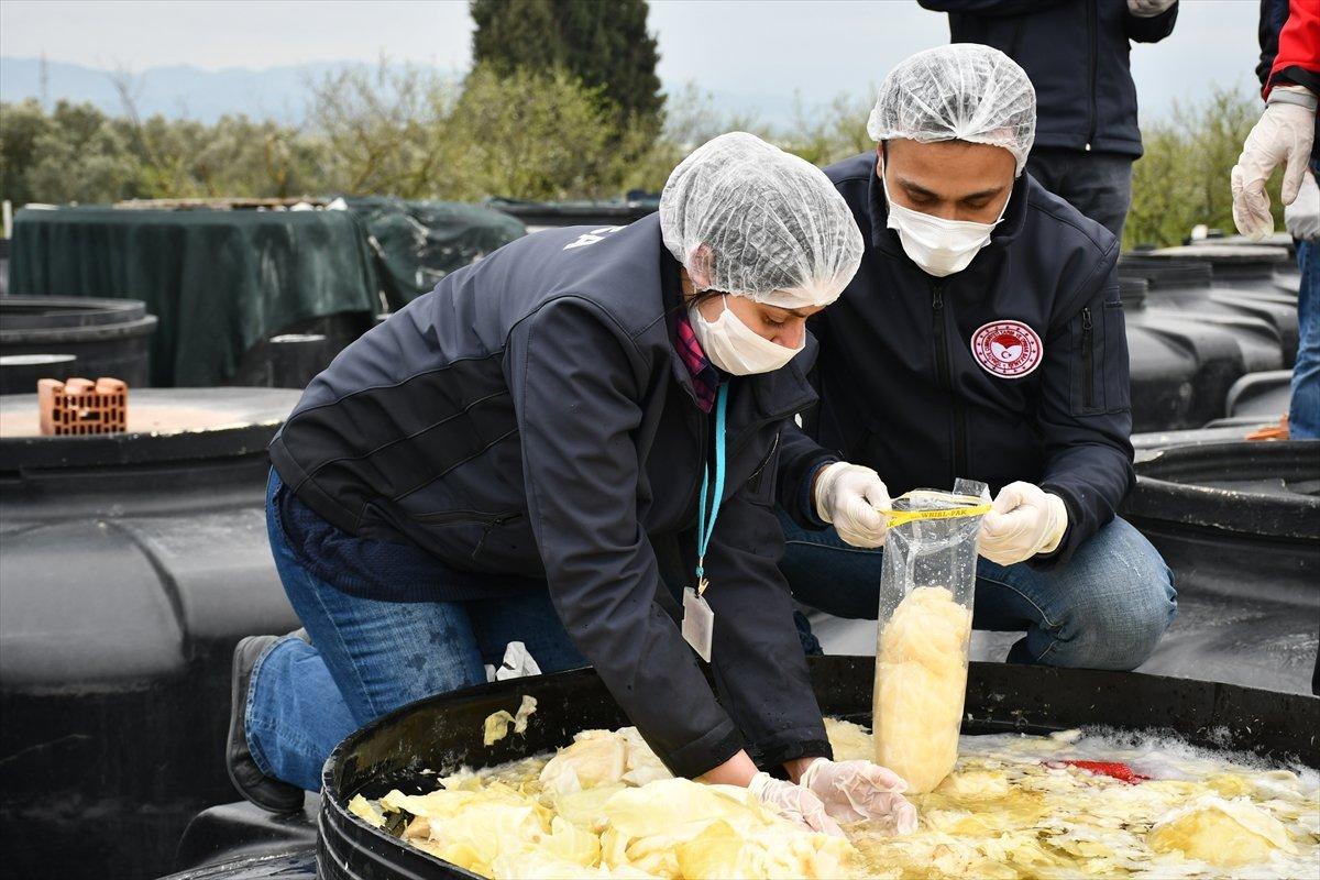 Manisa'daki turşu fabrikası faaliyetten men edildi