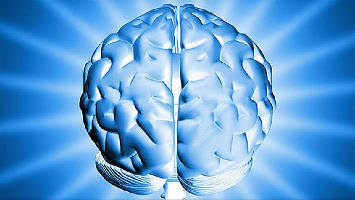 Kanada'da yeni bir beyin hastalığı keşfedildi