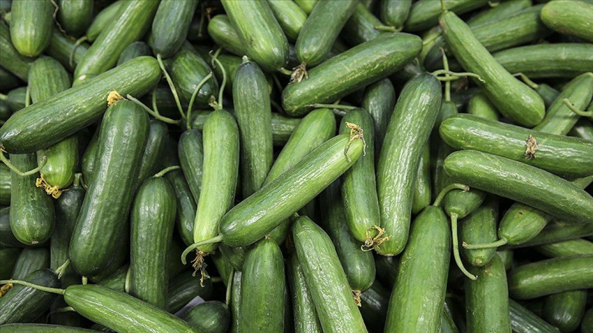 Martta en fazla salatalığın fiyatı düştü