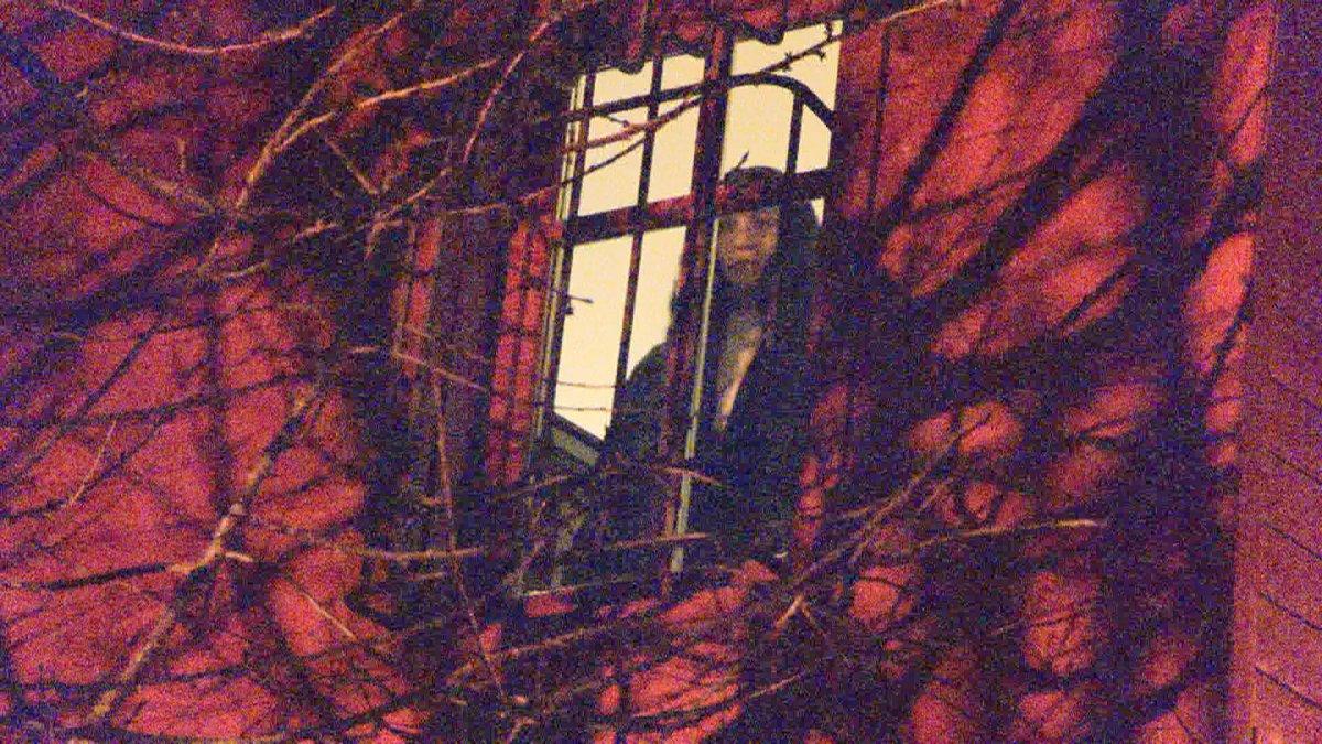 Özge Özpirinçci'nin doğum günü partisini polis bastı