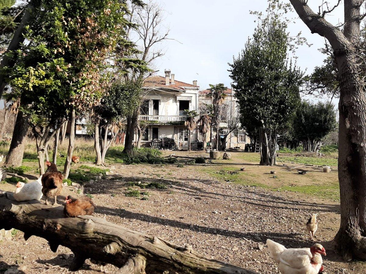 Kadıköy’deki tarihi Madam Tamara Köşkü harabeye döndü