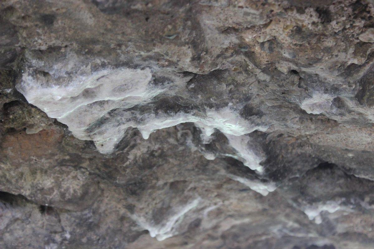 Bursa'da duvarlarından süt akan tarihi kale