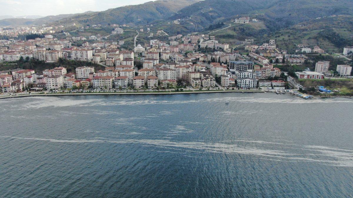 İzmit Körfezi’nde deniz salyası istilası