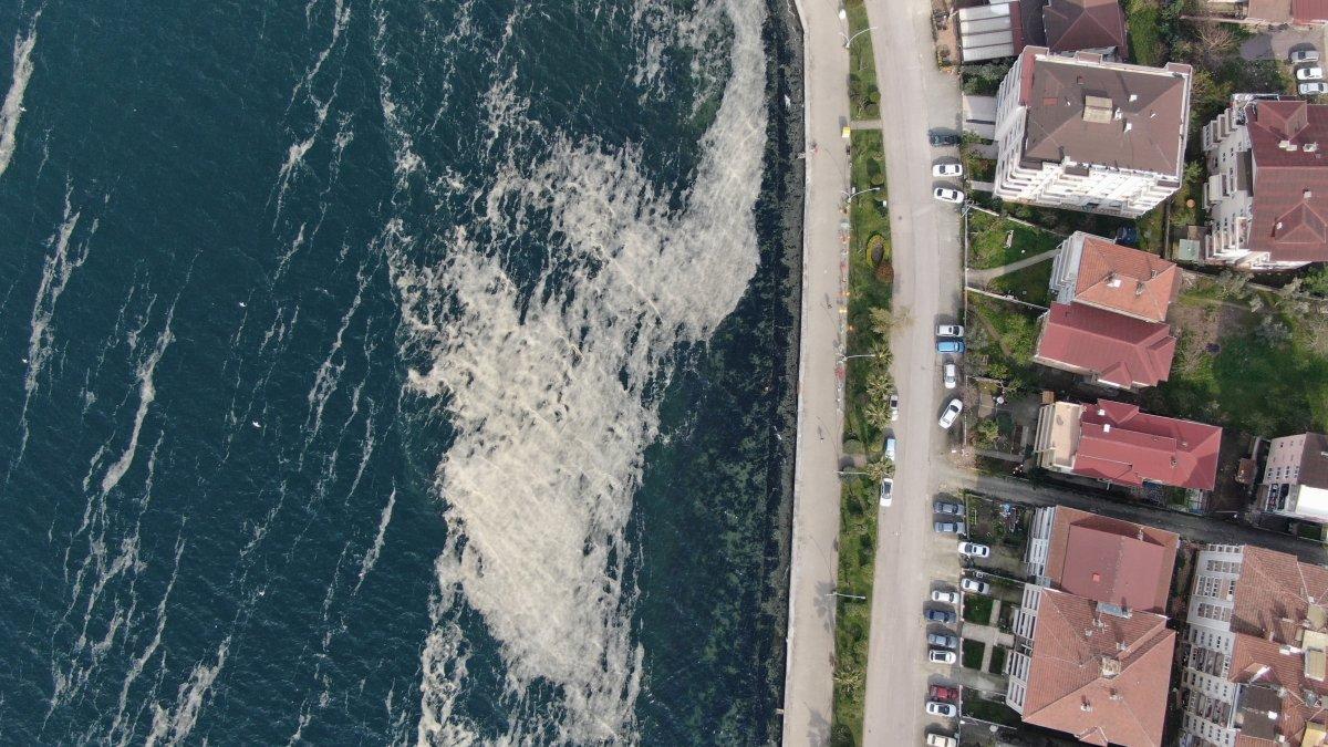 İzmit Körfezi’nde deniz salyası istilası