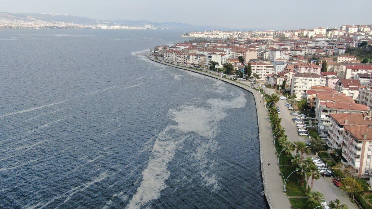 İzmit Körfezi’nde deniz salyası istilası